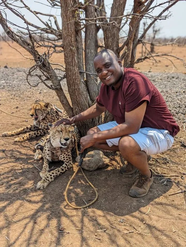 Noble Land Africa Safaris Animal Encounter