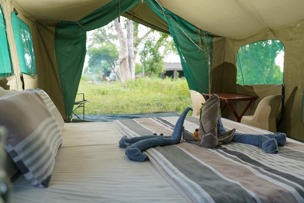 Mobile Safari camping